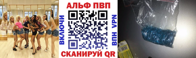 Alfa_PVP СК Котлас