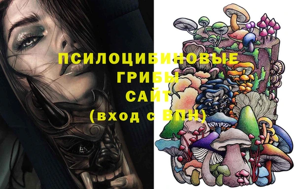 a pvp Богородск