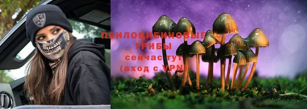 a pvp Богородск