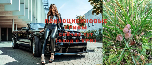 СК Богданович