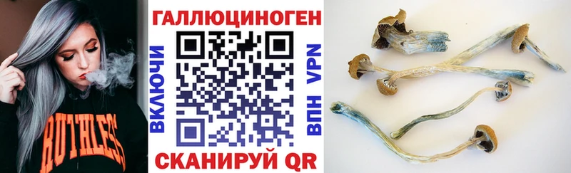 Галлюциногенные грибы мицелий  закладка  Котлас 
