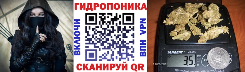 наркотики  Котлас  Канабис семена 